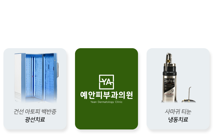 보험질환도 예안 피부과